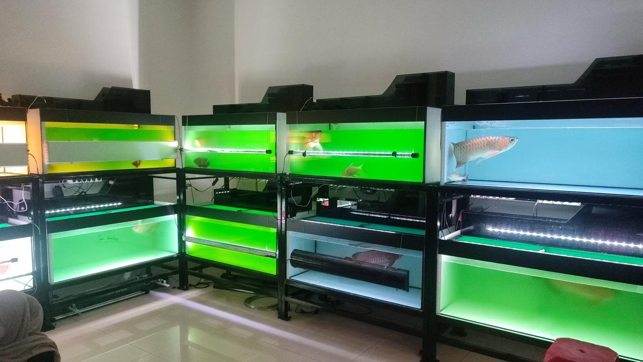 Pemasangan Akuarium