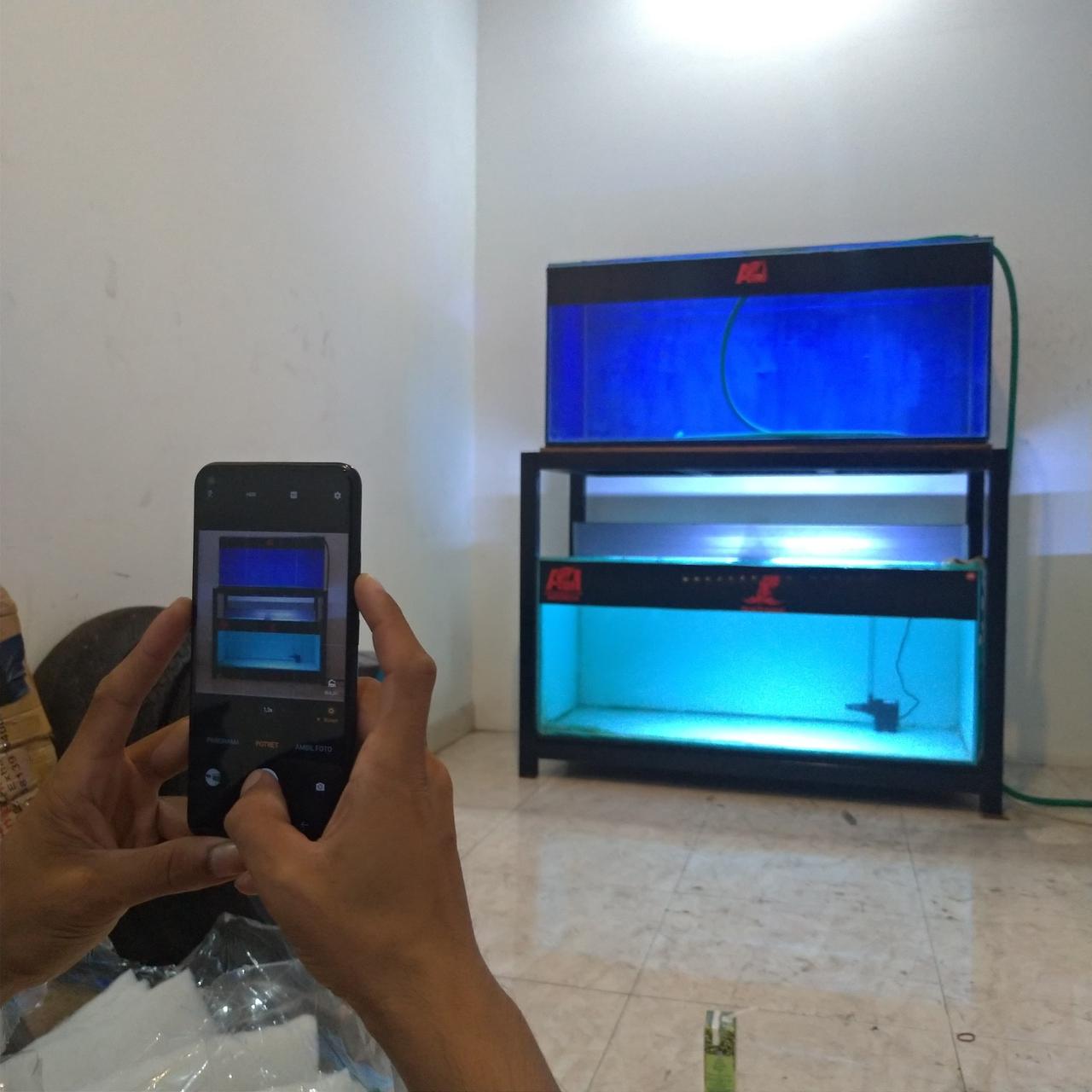 Perawatan Akuarium